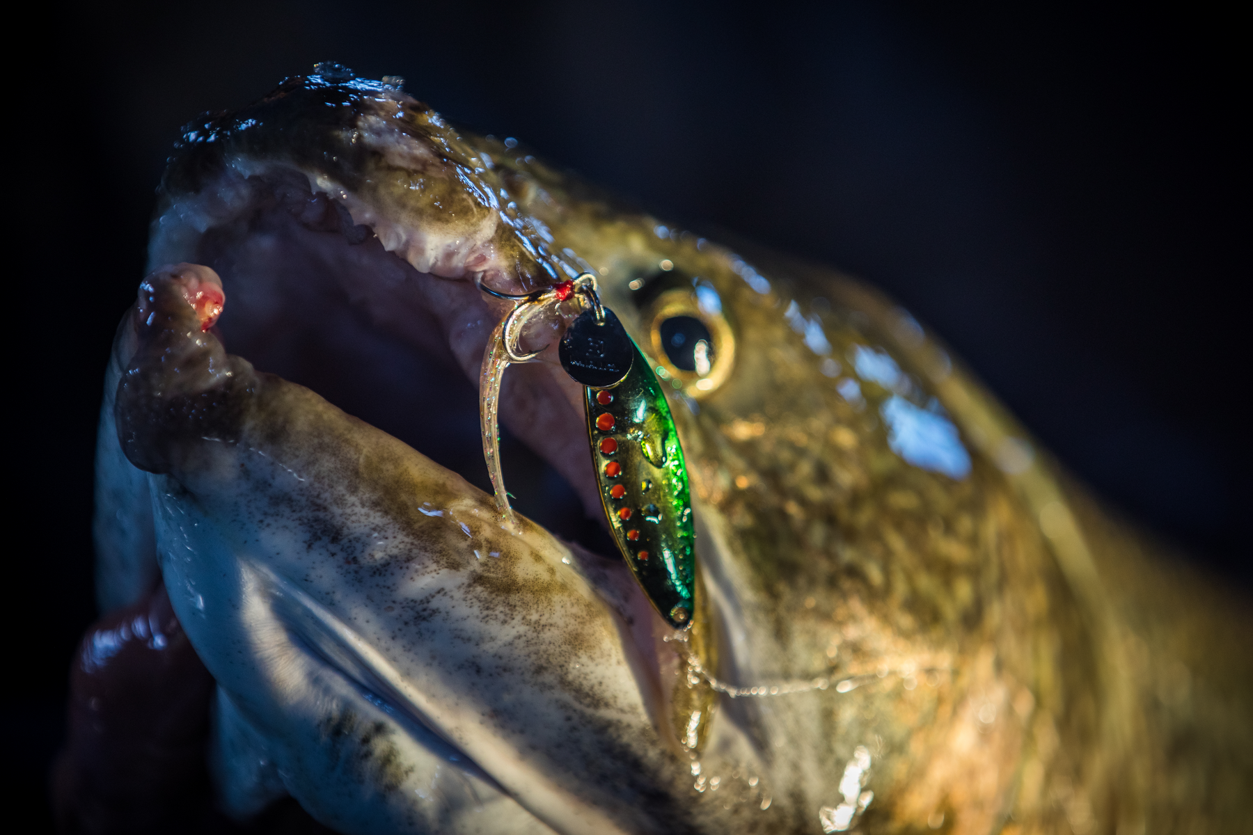 Leech Flutter Spoon